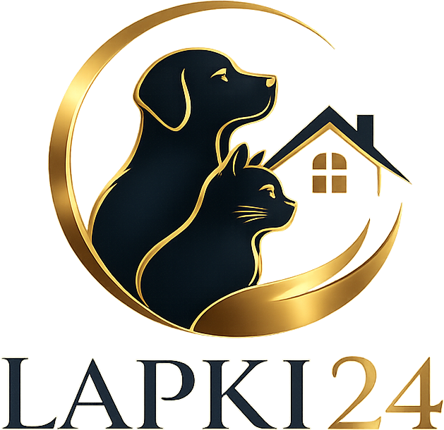 Lapki24
